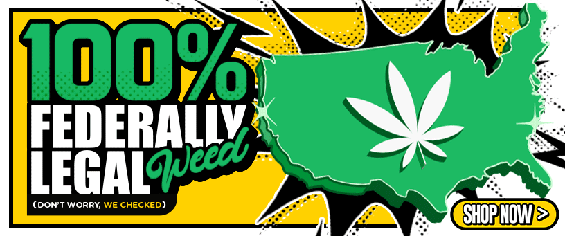 https://hemp-website-assets.s3.amazonaws.com/assets/commonFiles/2-17319617996623170.gif