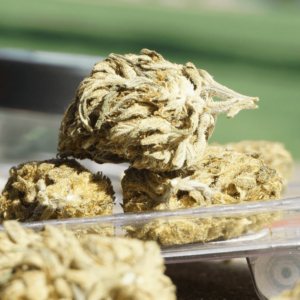 flower nugs stacked on top of each other for is thca legal in south carolina blog