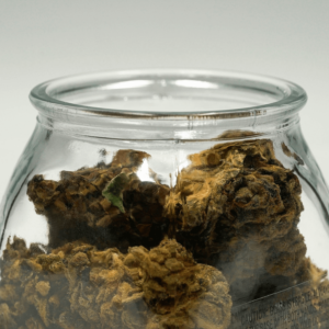 green and brown hemp flower in glass jar