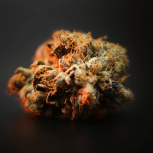 orange glowing cannabis bud for how to decarb THCa flower blog