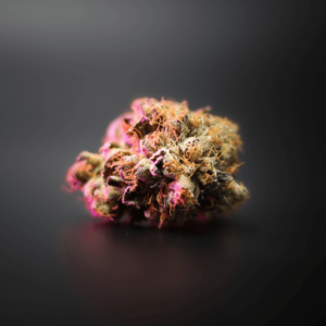 neon pink light on cannabis flower