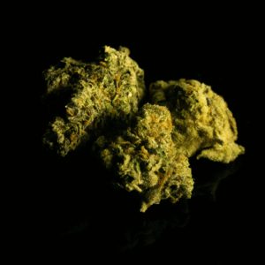 green cannabis flower against black background