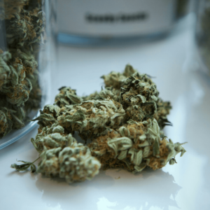 green cannabis buds next to a glass jar