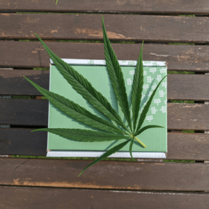 hemp flower on a green box