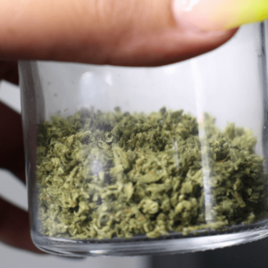 hand holding ground cannabis bud in a glass jar