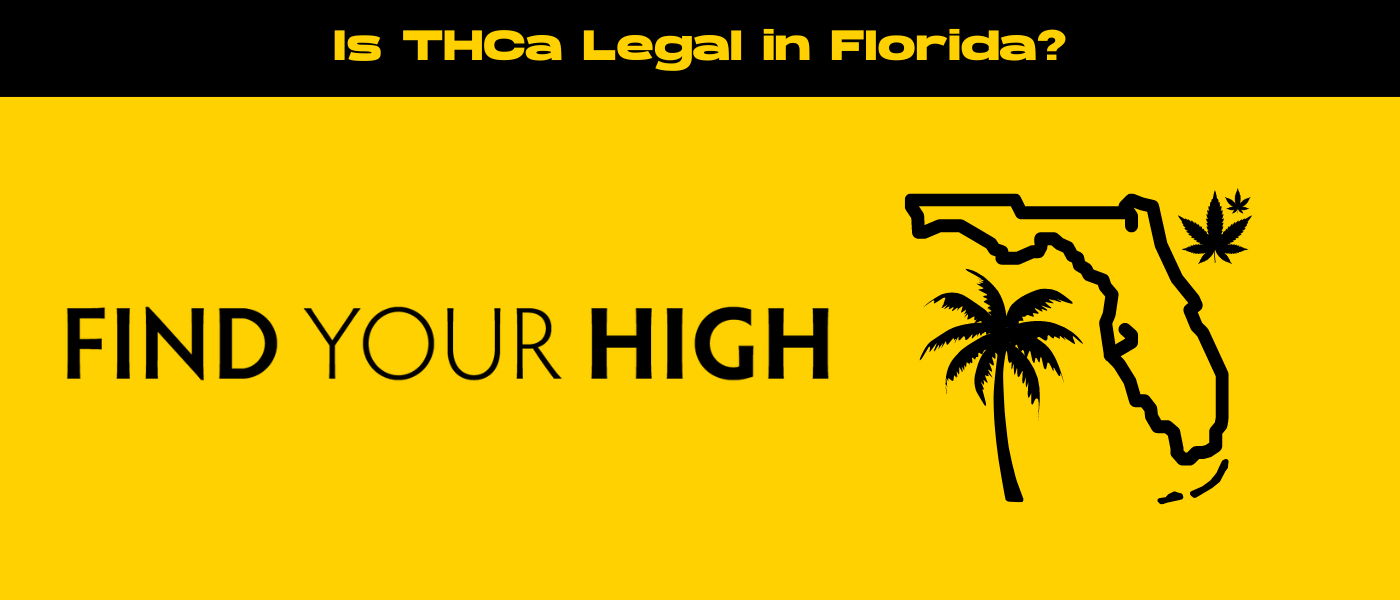 black and yellow banner image for is thca flower legal in florida blog