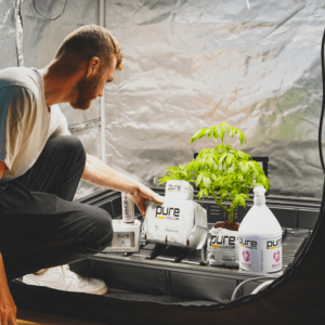 a man cultivating CBD isolate