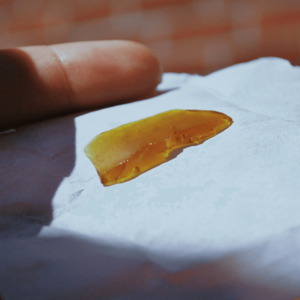 gold cannabis concentrate on white parchment paper