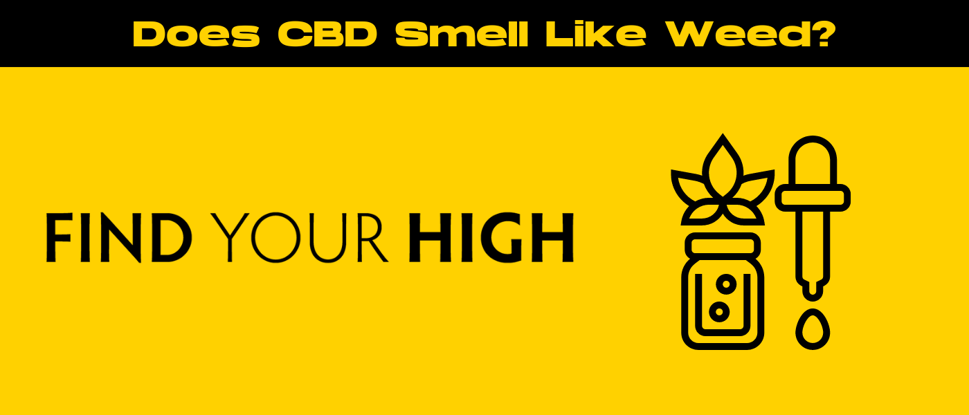 black and yellow banner image for does cbd smell like weed blog