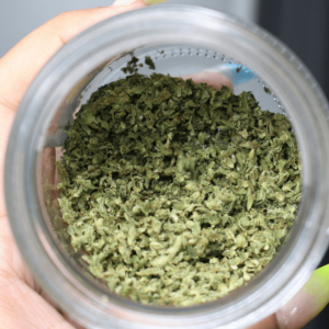 person holding ground cannabis in jar