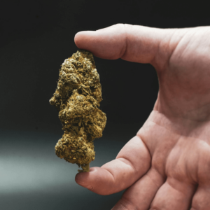 hand holding cannabis nug