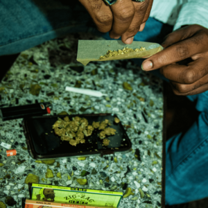 man filling rolling paper with cannabis flower