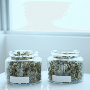 two large jars of cannabis flower