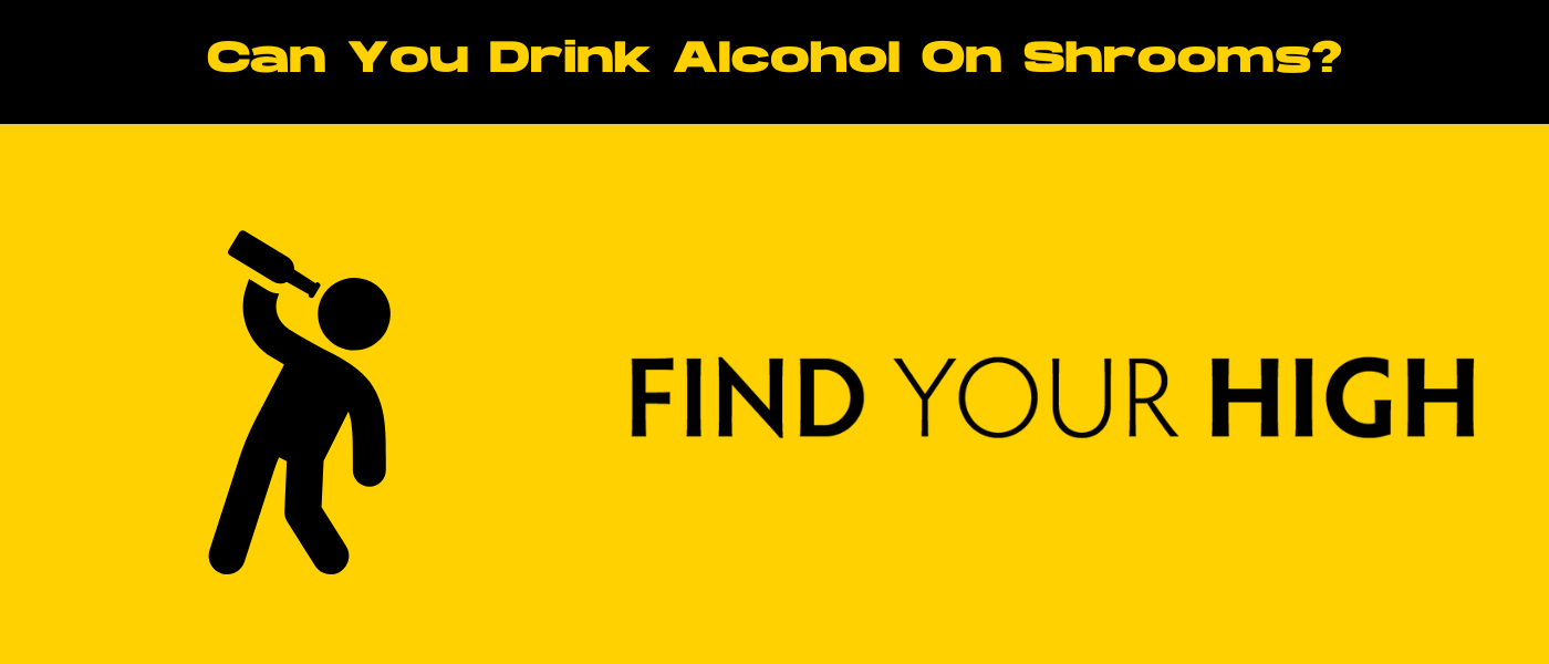 black and yellow banner image for can you drink alcohol on shrooms blog