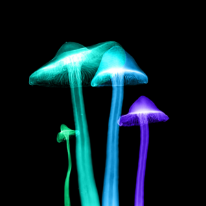 purple, green, and blue mushrooms