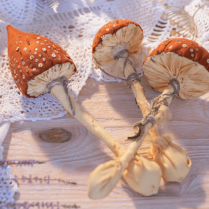 magic mushrooms on a cutting board