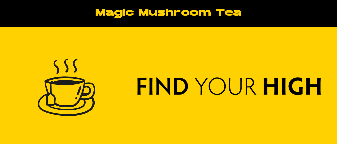 black and yellow banner image for magic mushroom tea blog