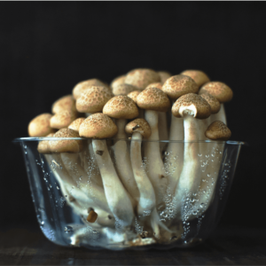 mushrooms in a plastic jar