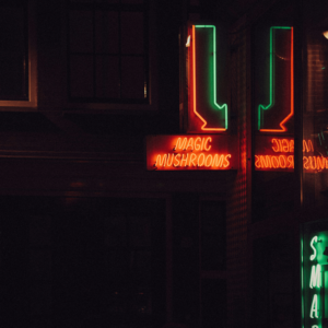 neon sign pointing to magic mushrooms