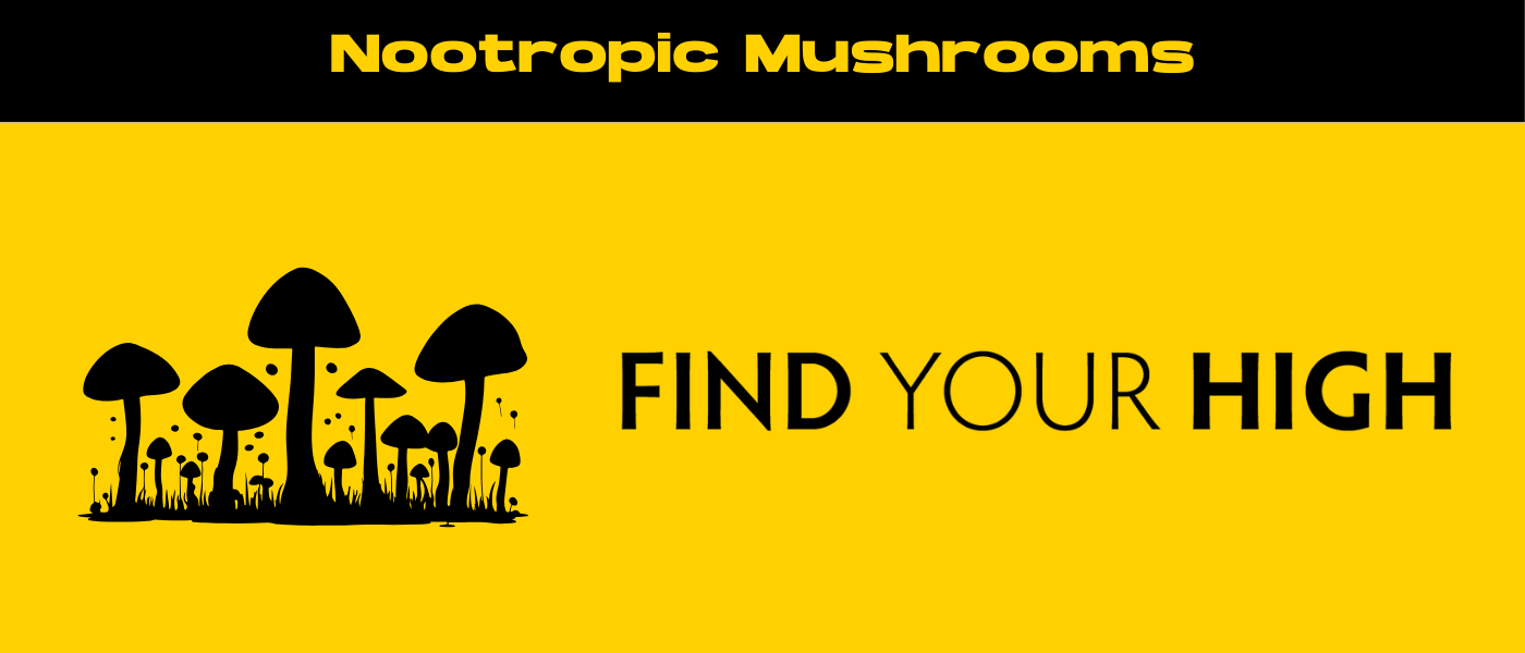 black and yellow banner image for nootropic mushrooms blog