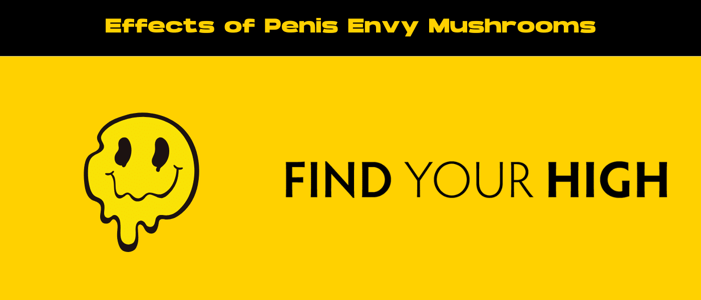 black and yellow banner image for penis envy mushroom effects blog