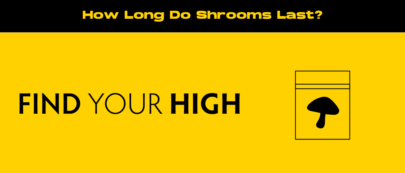 black and yellow banner image for how long do shrooms last blog