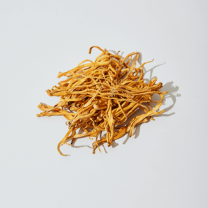 golden stringy mushrooms