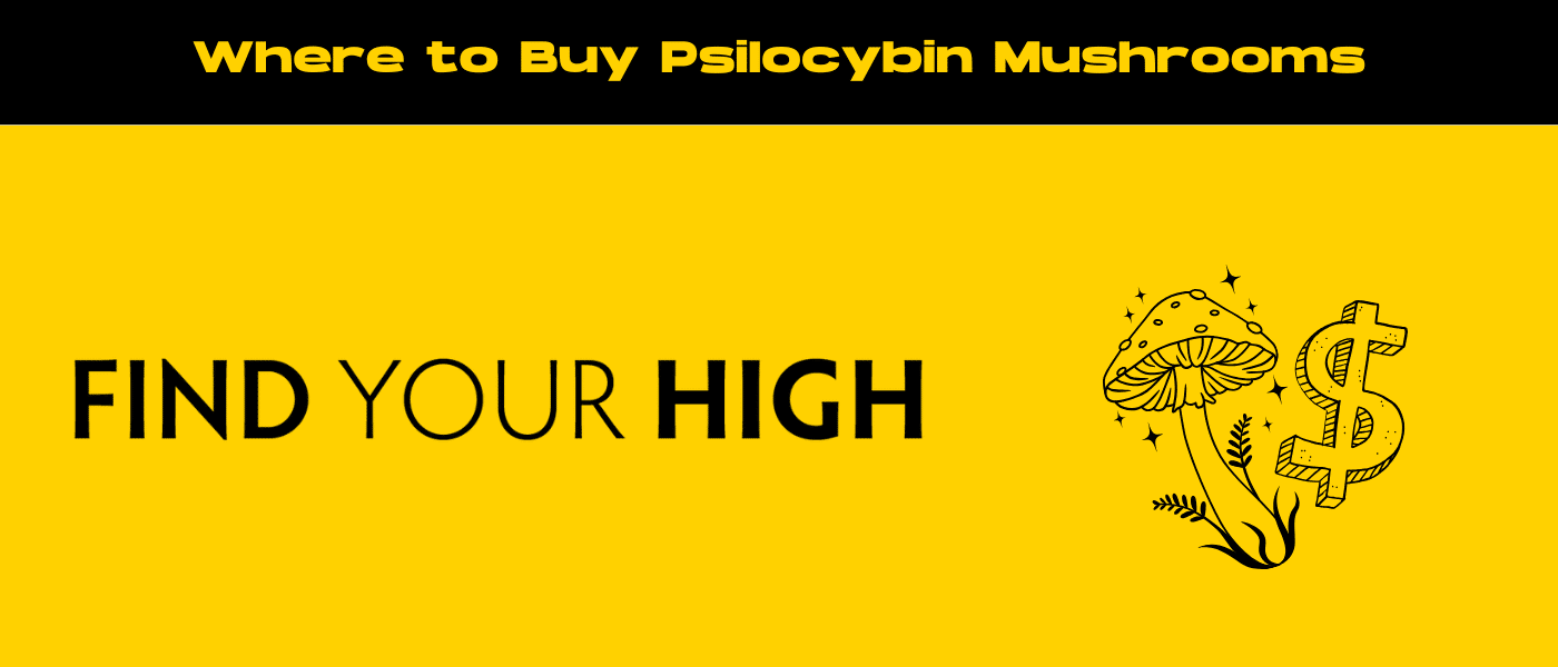 black and yellow banner image for buy psilocybin mushrooms blog