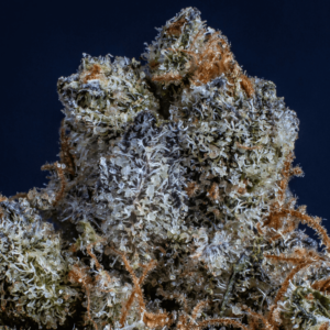 up close image of trichomes on a cannabis bud