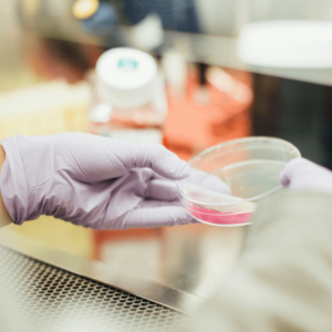 scientist holding petri dish