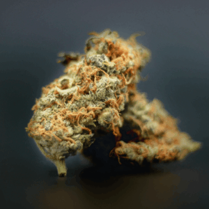 two cannabis nugs against dark background