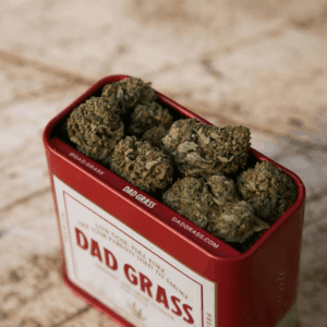 CBD flower