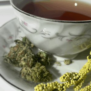 green buds next to a mug of tea