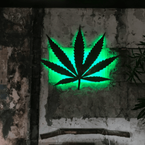 green neon sign weed leaf