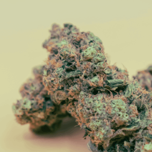 purple and green cannabis flower against green background
