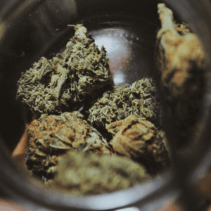 glass jar with green nugs