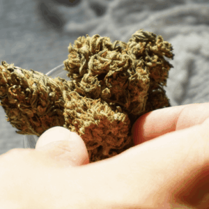 hand grabbing for cannabis nugs