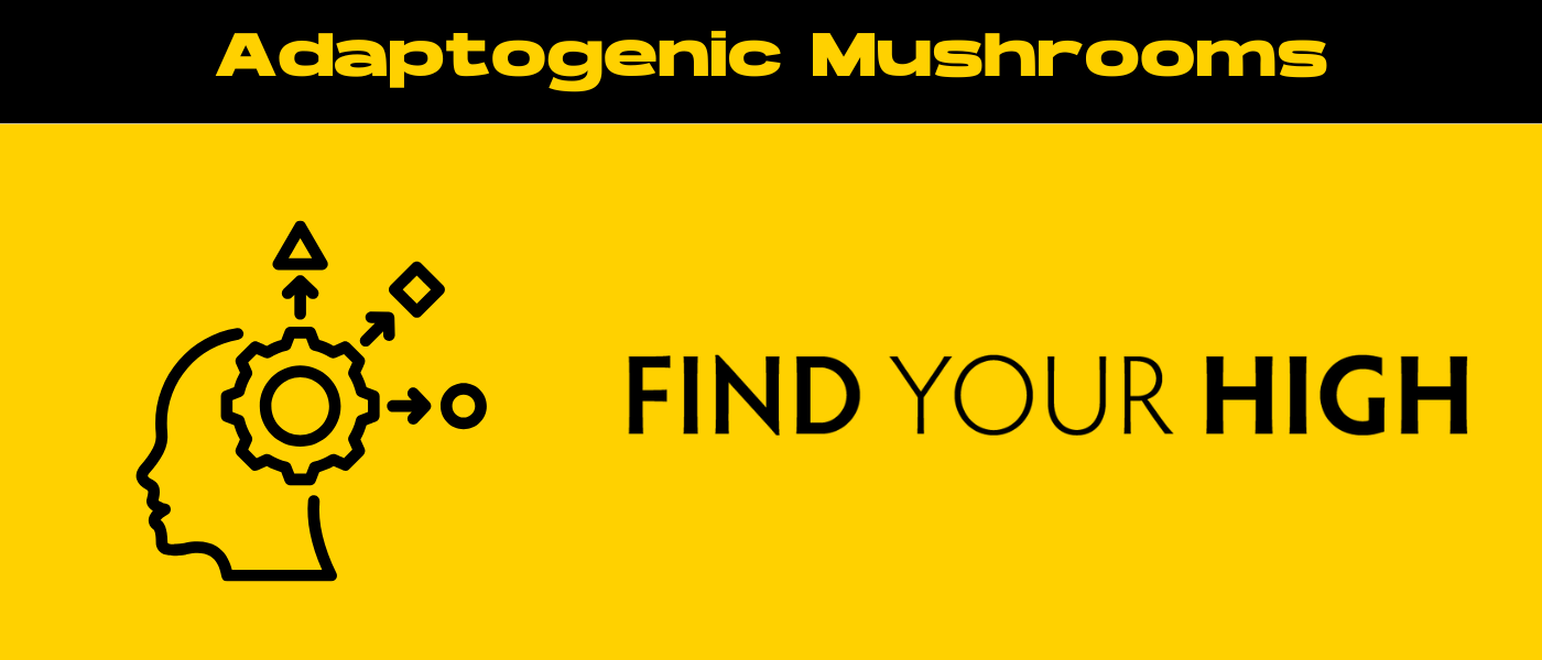 black and yellow banner image for adaptogenic mushrooms blog