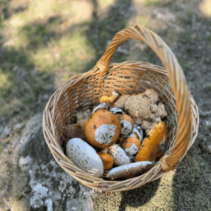 basket of mushrooms
