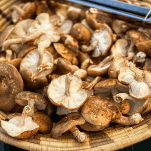 bowl of shiitake mushrooms