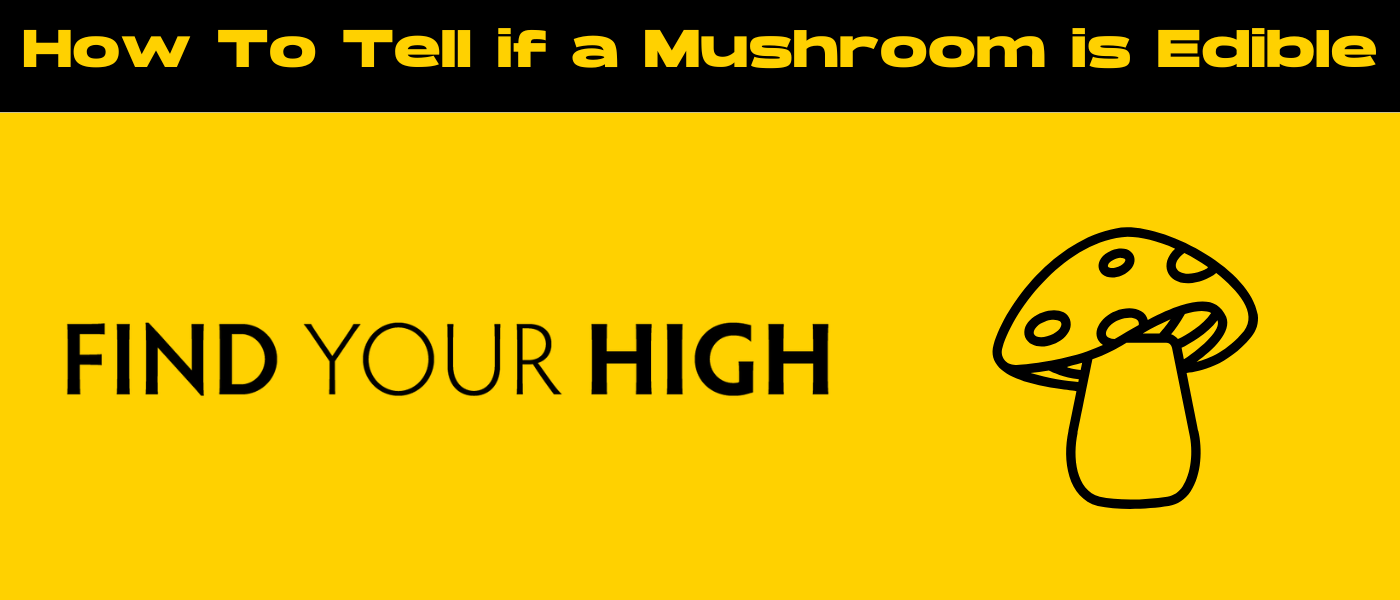 black and yellow banner image for how to tell if a mushroom is edible blog