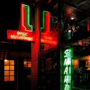 neon signs advertising magic mushrooms