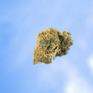 THCa flower bud against blue sky background