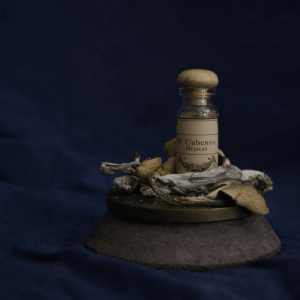 mushrooms and glass bottle