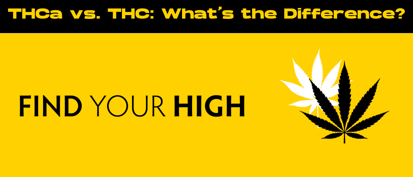black and yellow banner image for difference between thc and thca blog