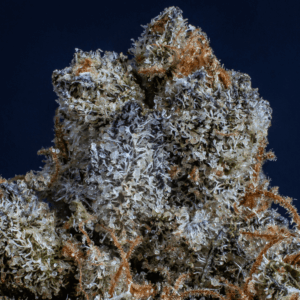 up close image of nug