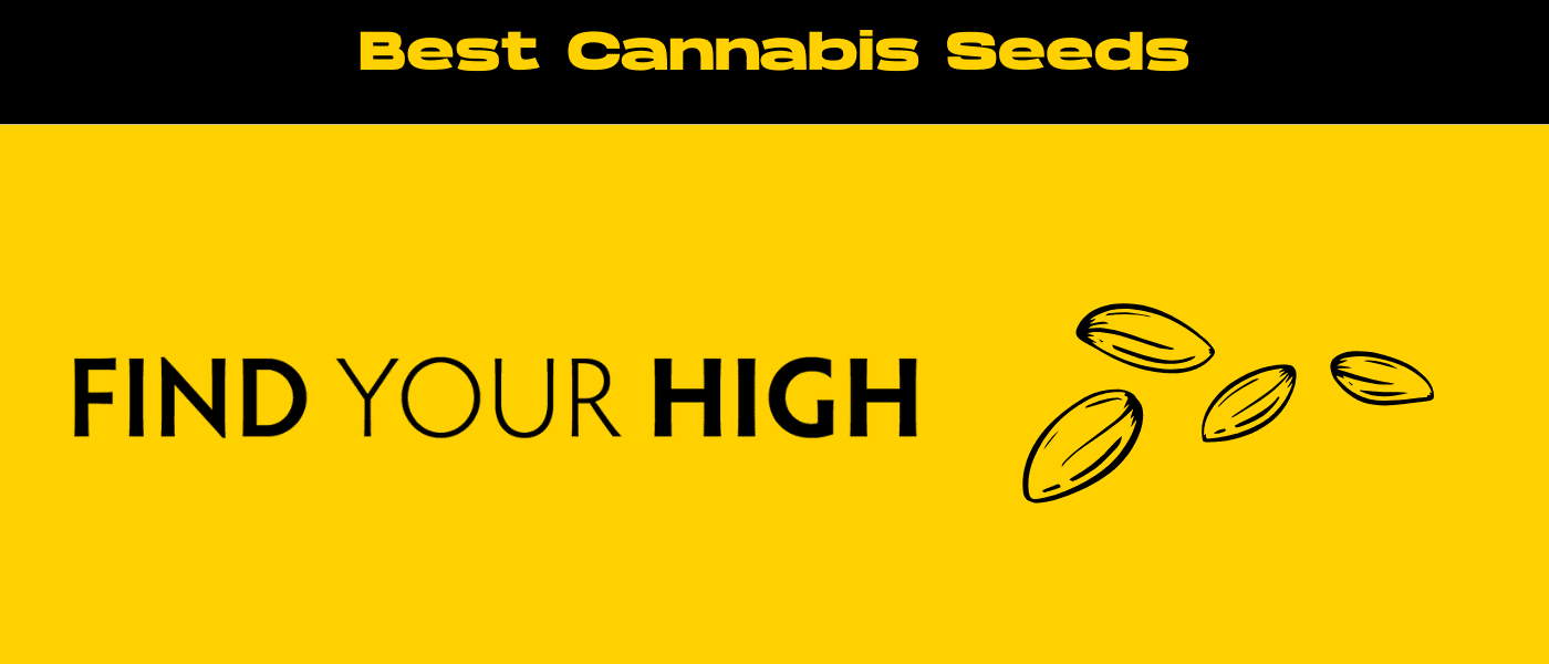 black and yellow banner image for best cannabis seeds blog