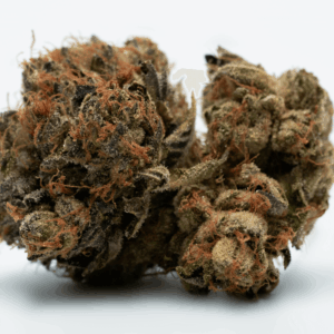 dense nug against white background