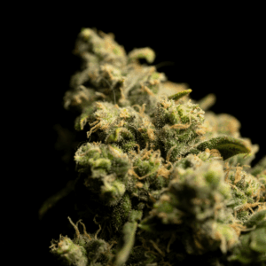 up close image of cannabis flower against black background