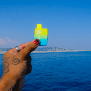 person holding small vape in front of ocean